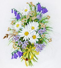 Ромашки и колокольчики ЖК-2012